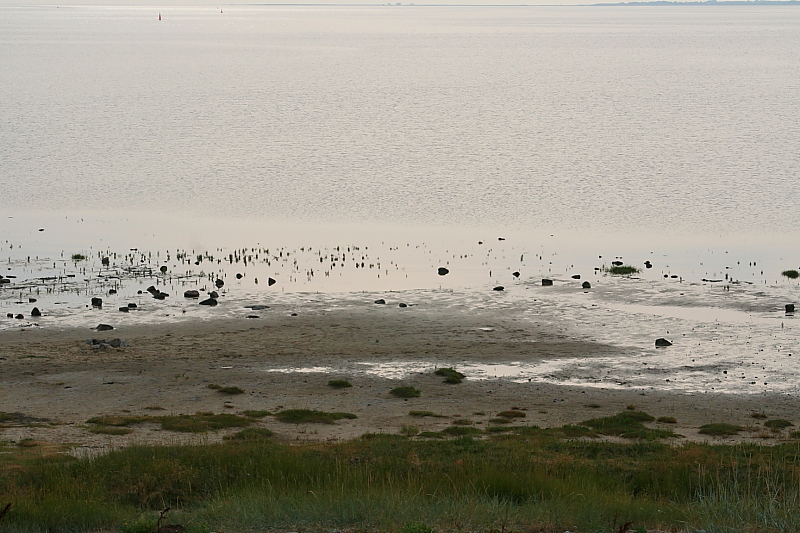 Wattenmeer Sandwatt Schlickwatt Nordsee Wattenmeer Sandwatt Schlickwatt Nordsee
